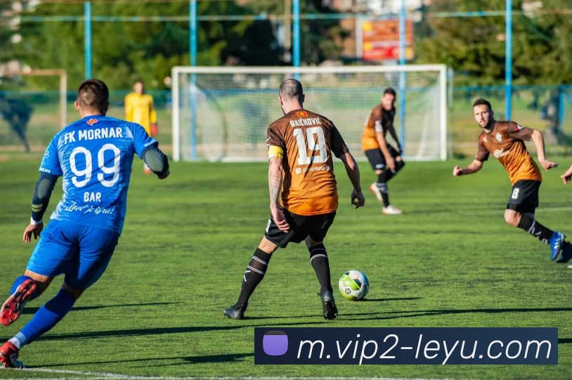 乐鱼体育平台生态图